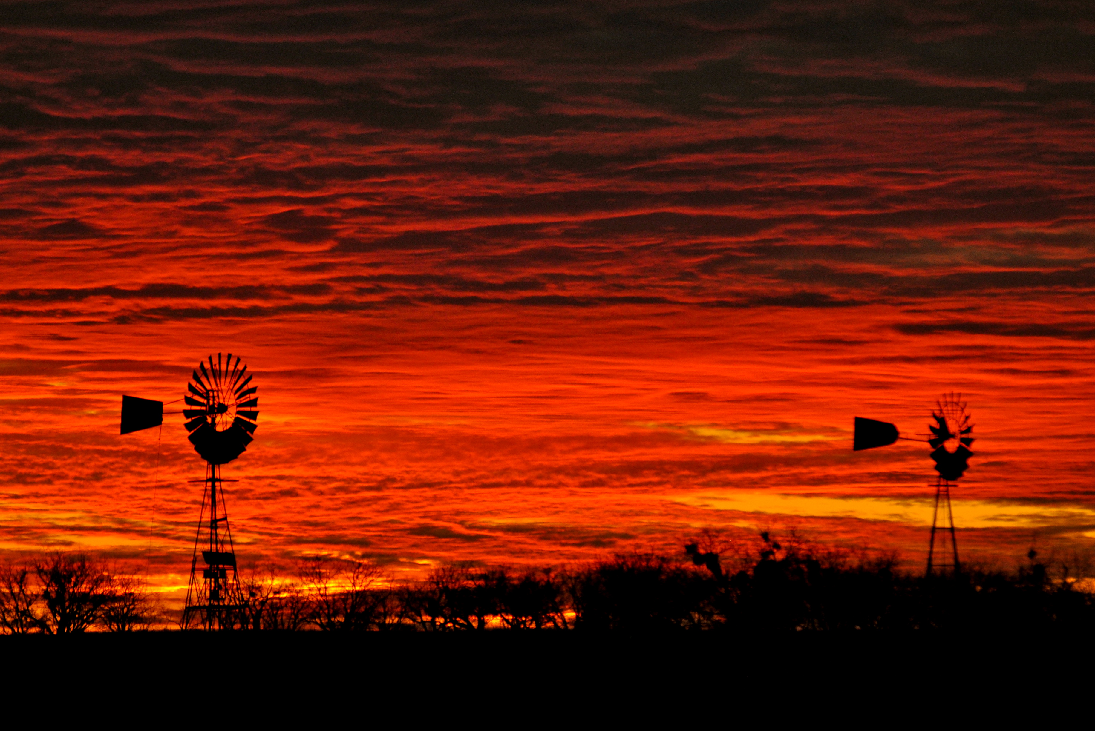 Eccie West Texas